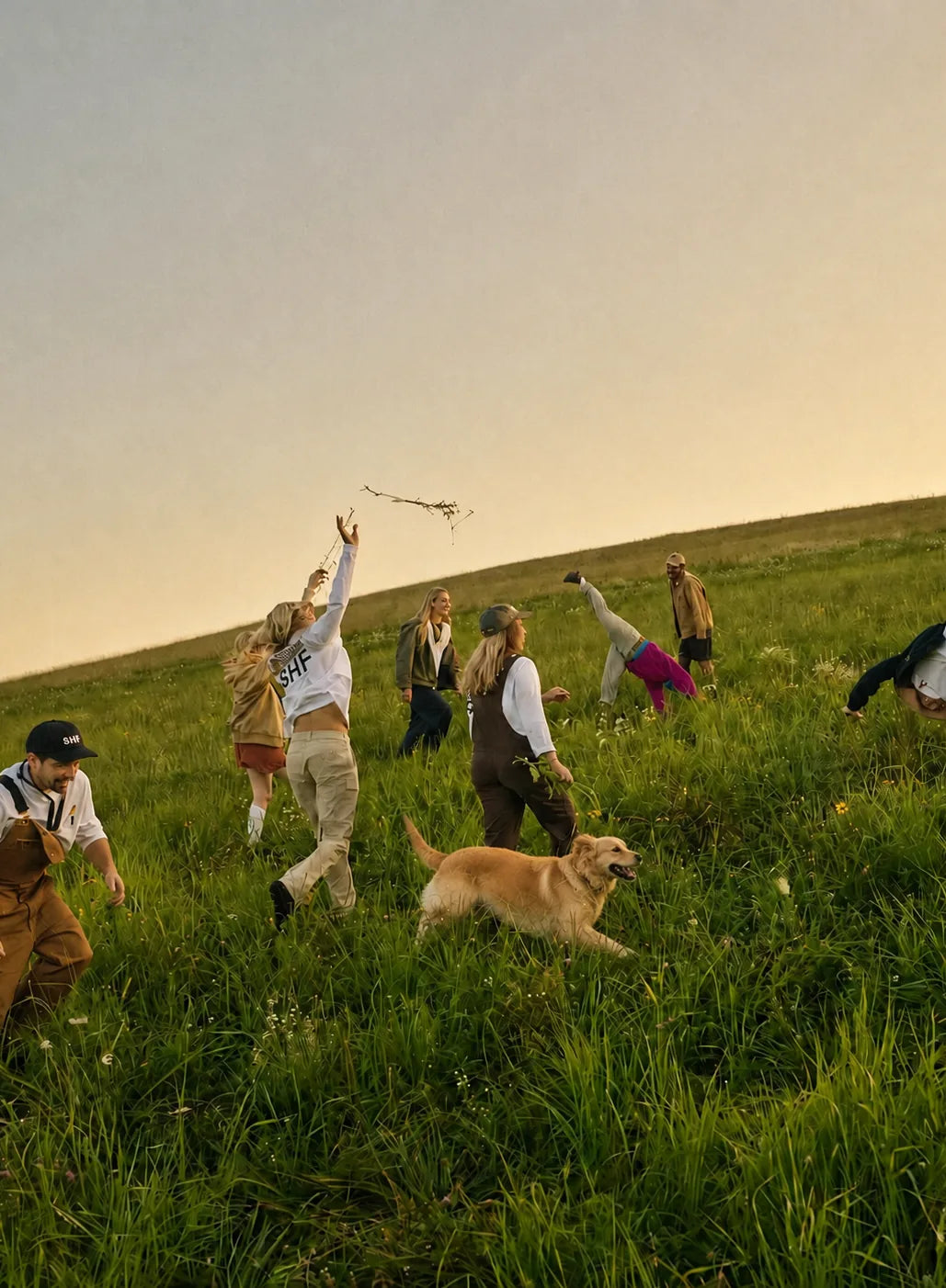 Freunde toben auf einer Wiese im Abendlicht, ein Hund läuft mit